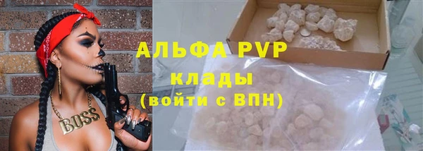 шишки Медногорск