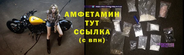 молекула духа Медвежьегорск