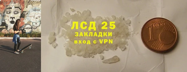 шишки Медногорск