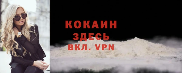 молекула духа Медвежьегорск