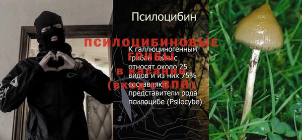 экстази Мегион