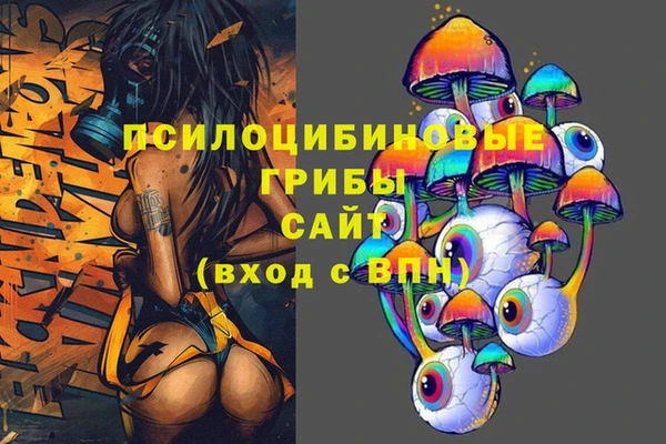 шишки Медногорск