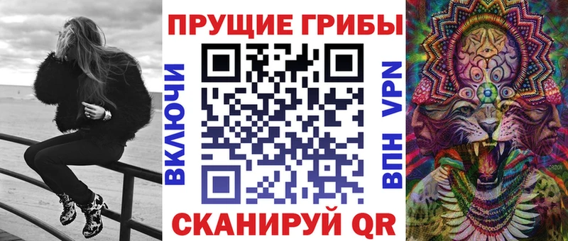 Галлюциногенные грибы Cubensis  Хилок 
